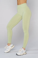 W233 - Curve Seamless Leggings