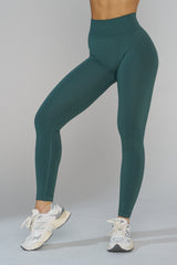 W233 - Curve Seamless Leggings